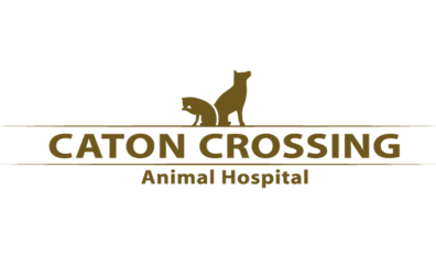 Homepage Caton Crossing Animal Hospital